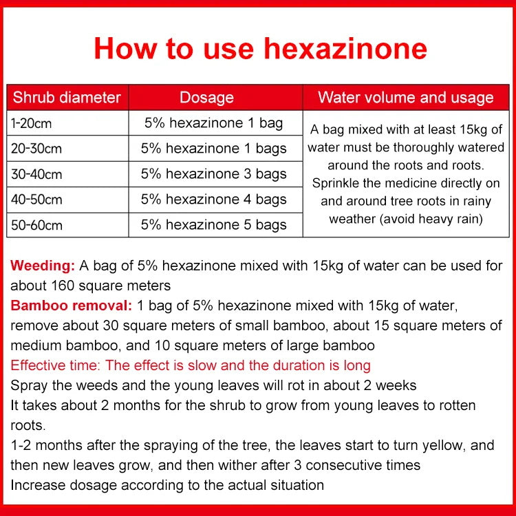 König des Bambus Reinigung fauler Wurzeln
