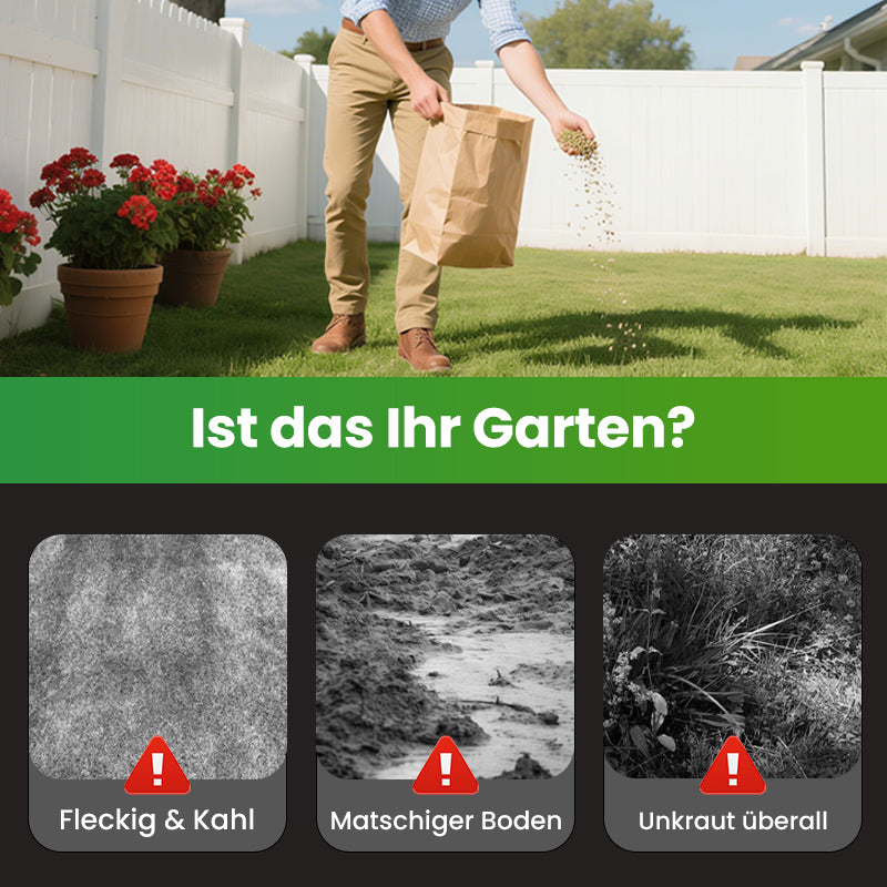 🔥 Grassamen für Rasen und Golfplatz