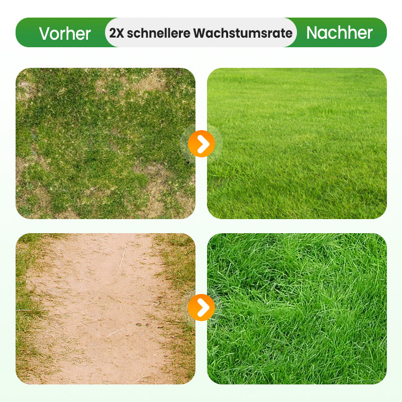 🔥 Grassamen für Rasen und Golfplatz