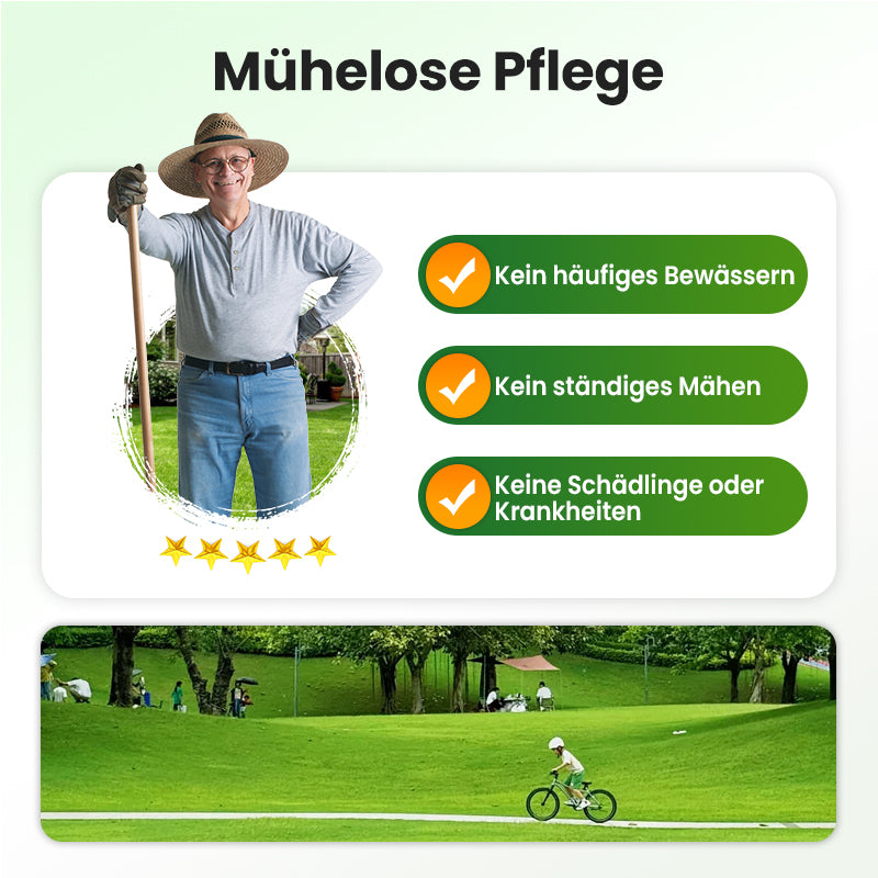 🔥 Grassamen für Rasen und Golfplatz