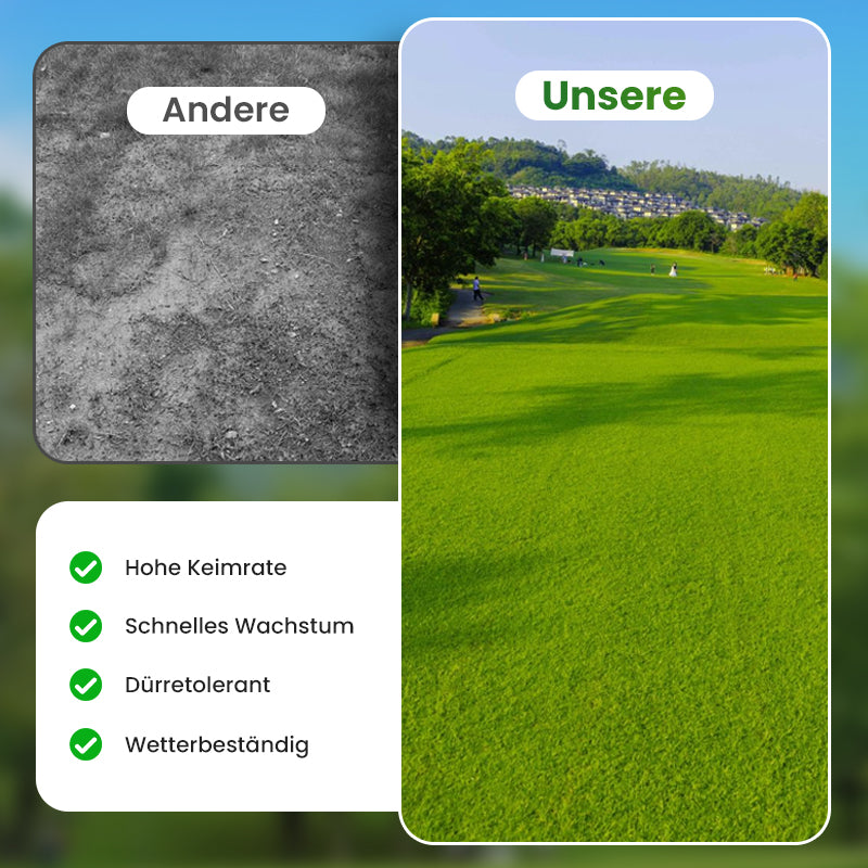 🔥 Grassamen für Rasen und Golfplatz