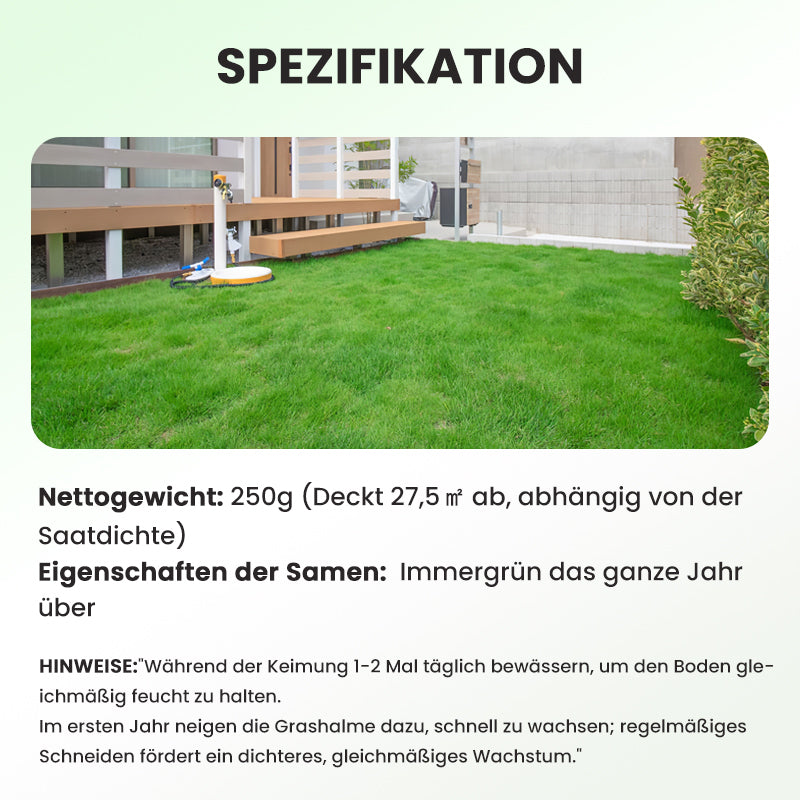 🔥 Grassamen für Rasen und Golfplatz