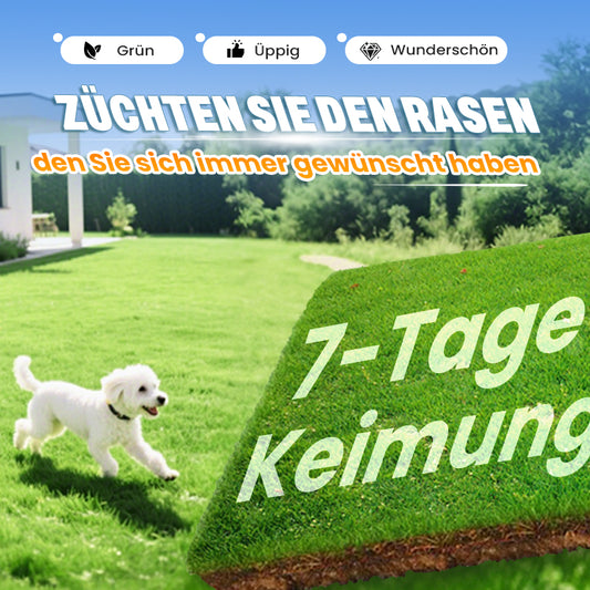 🔥 Grassamen für Rasen und Golfplatz