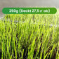 🔥 Grassamen für Rasen und Golfplatz