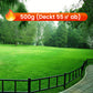 🔥 Grassamen für Rasen und Golfplatz