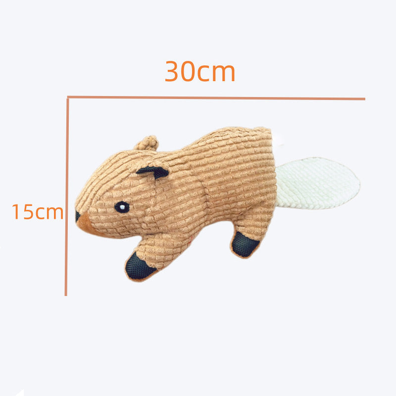 🦆 40% Rabatt! Quakende Plüsch-Ente für Katzen – weiches Kuschelspielzeug mit interaktivem Spielreiz – ideal für Spiel, Schmusen und Beschäftigung 🐱✨