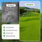 🔥 Grassamen für Rasen und Golfplatz