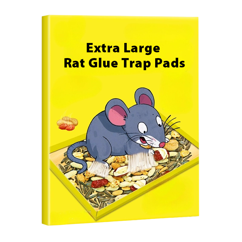 🔥2 kaufen, 1 gratis!⚡Nur für kurze Zeit!📢Extra große Rattenklebefallen