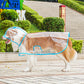 🐾 Regenwetter? Dein Hund bleibt trocken! – Transparenter Regenmantel für Hunde – leicht, bequem & einfach anzuziehen – perfekt für nasse Spaziergänge 🌧️✨