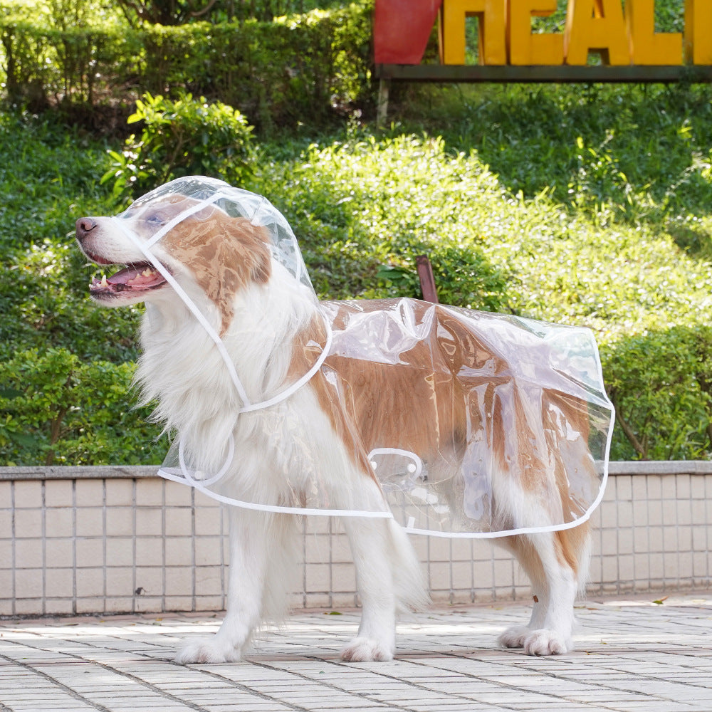 🐾 Regenwetter? Dein Hund bleibt trocken! – Transparenter Regenmantel für Hunde – leicht, bequem & einfach anzuziehen – perfekt für nasse Spaziergänge 🌧️✨