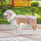 🐾 Regenwetter? Dein Hund bleibt trocken! – Transparenter Regenmantel für Hunde – leicht, bequem & einfach anzuziehen – perfekt für nasse Spaziergänge 🌧️✨