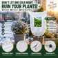 ⏳Zeitlich begrenztes Spezialangebot⏰ WINTERGARTEN-BASICS | Pflanzenschutzabdeckung gegen Frost – Atmungsaktive, wiederverwendbare Abdeckung für Sträucher, Töpfe & junge Bäume