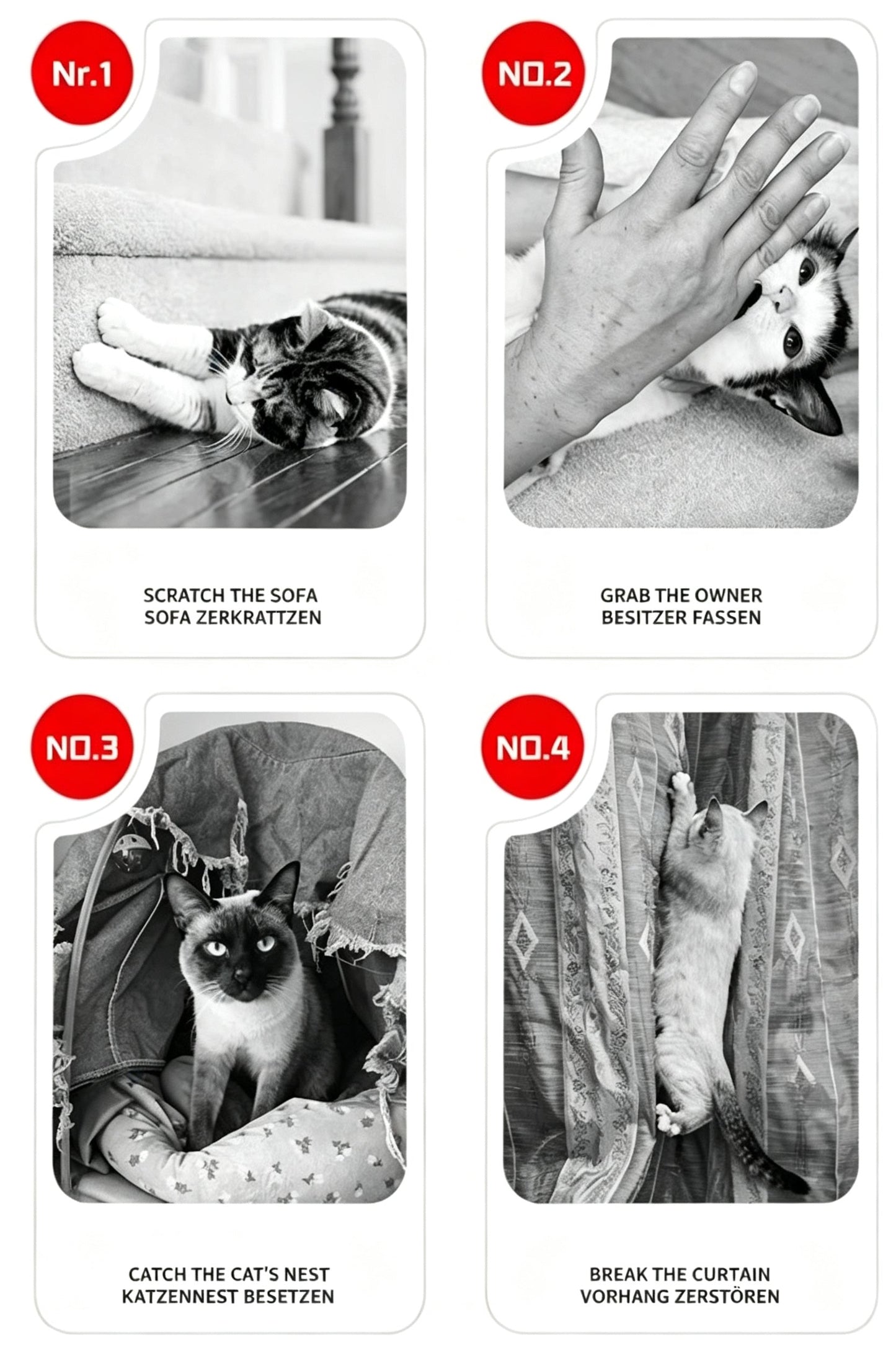 ⌛🎁50 % Rabatt für kurze Zeit!🐱🧶Natürlicher Sisal-Kratzball mit Kartonunterlage – Befriedigt den Kratztrieb, Schont Möbel & Für jede Katze 🎉