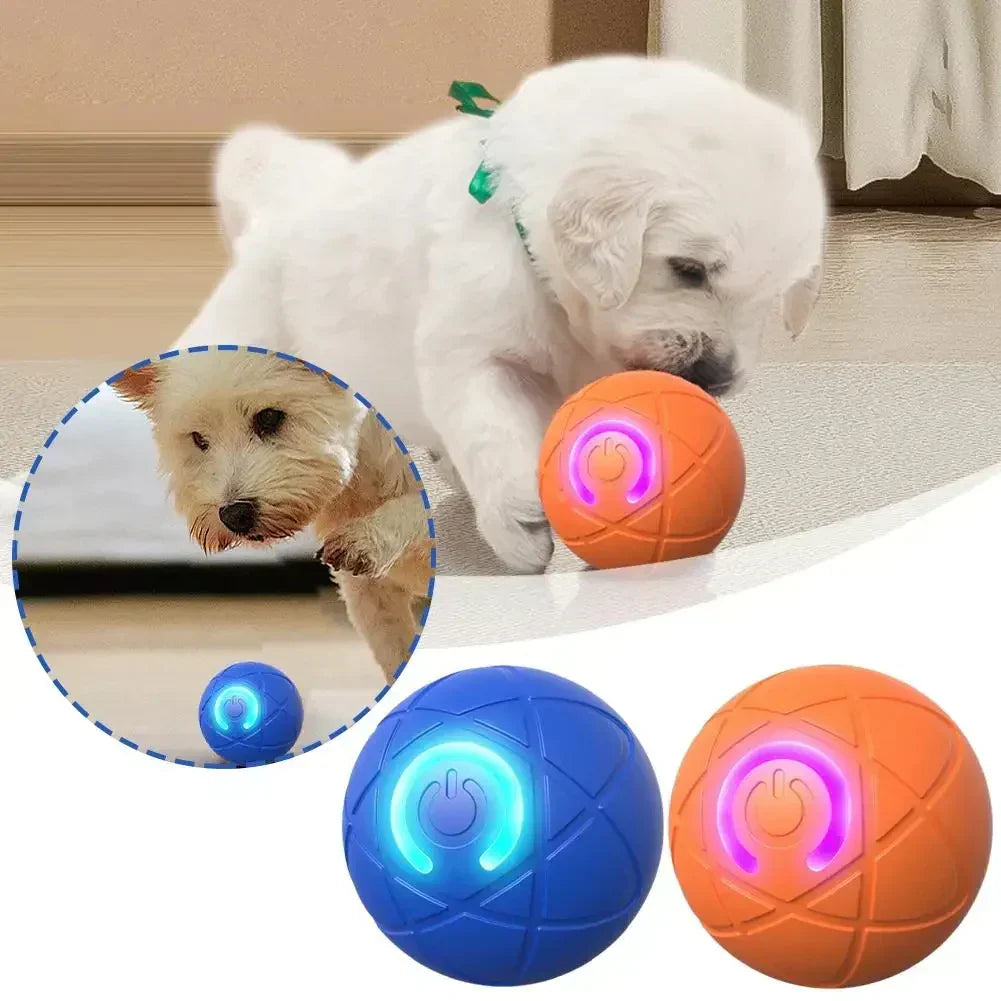 🐾 INTELLIGENTER HAUSTIERBALL MIT AUTOMATISCH SPRINGENDER FUNKTION UND FERNBEDIENUNG — 3 interaktive Modi | Kauresistentes E-TPU | USB-C aufladbar 🎾
