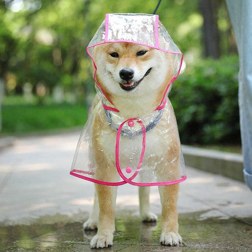🐾 Regenwetter? Dein Hund bleibt trocken! – Transparenter Regenmantel für Hunde – leicht, bequem & einfach anzuziehen – perfekt für nasse Spaziergänge 🌧️✨