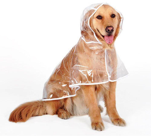 🐾 Regenwetter? Dein Hund bleibt trocken! – Transparenter Regenmantel für Hunde – leicht, bequem & einfach anzuziehen – perfekt für nasse Spaziergänge 🌧️✨