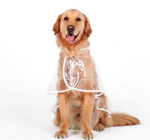 🐾 Regenwetter? Dein Hund bleibt trocken! – Transparenter Regenmantel für Hunde – leicht, bequem & einfach anzuziehen – perfekt für nasse Spaziergänge 🌧️✨