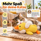 🦆 40% Rabatt! Quakende Plüsch-Ente für Katzen – weiches Kuschelspielzeug mit interaktivem Spielreiz – ideal für Spiel, Schmusen und Beschäftigung 🐱✨