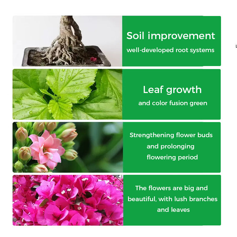 🌱 50% RABATT - Rapid Bloom Booster Pulver | Schnelleres Wurzelwachstum + Größere Blüten!🌸