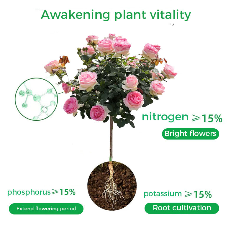 🌱 50% RABATT - Rapid Bloom Booster Pulver | Schnelleres Wurzelwachstum + Größere Blüten!🌸