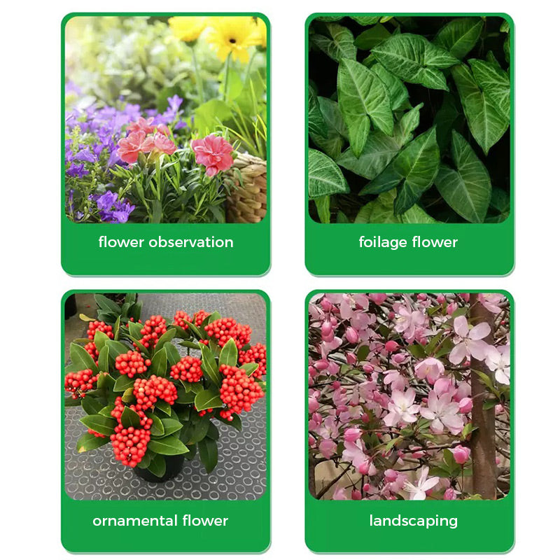 🌱 50% RABATT - Rapid Bloom Booster Pulver | Schnelleres Wurzelwachstum + Größere Blüten!🌸