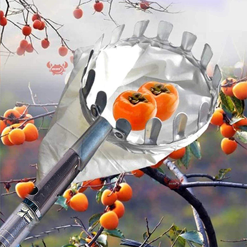 🍎Blitzangebot! Obstpflücker mit Auffangkorb – Pflückkopf aus verzinktem Eisen, Stoffbeutel – mit oder ohne Teleskopstiel (1,6–4,0 m) – Pflücken vom Boden aus! ✨