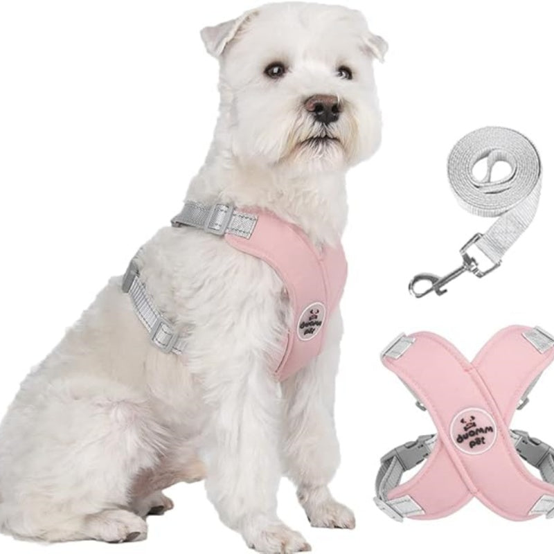 X-Rahmen Anti-Zug Hundegeschirr-Set mit Leine
