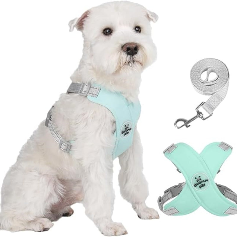 X-Rahmen Anti-Zug Hundegeschirr-Set mit Leine