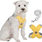 X-Rahmen Anti-Zug Hundegeschirr-Set mit Leine