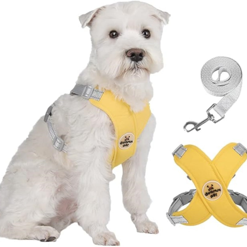 X-Rahmen Anti-Zug Hundegeschirr-Set mit Leine
