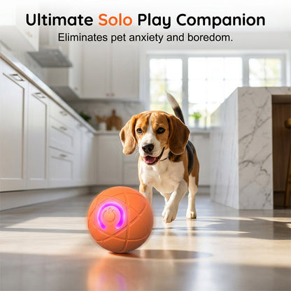 🐾 INTELLIGENTER HAUSTIERBALL MIT AUTOMATISCH SPRINGENDER FUNKTION UND FERNBEDIENUNG — 3 interaktive Modi | Kauresistentes E-TPU | USB-C aufladbar 🎾