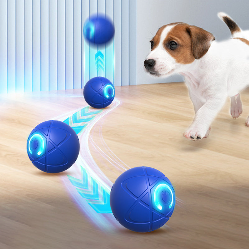 🐾 INTELLIGENTER HAUSTIERBALL MIT AUTOMATISCH SPRINGENDER FUNKTION UND FERNBEDIENUNG — 3 interaktive Modi | Kauresistentes E-TPU | USB-C aufladbar 🎾