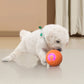 🐾 INTELLIGENTER HAUSTIERBALL MIT AUTOMATISCH SPRINGENDER FUNKTION UND FERNBEDIENUNG — 3 interaktive Modi | Kauresistentes E-TPU | USB-C aufladbar 🎾