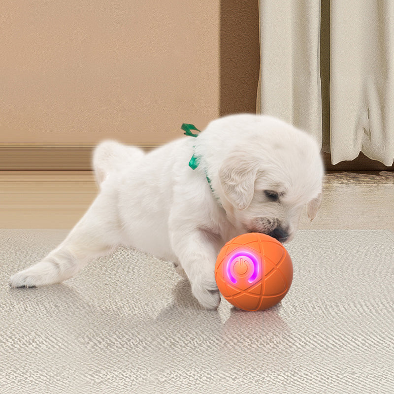 🐾 INTELLIGENTER HAUSTIERBALL MIT AUTOMATISCH SPRINGENDER FUNKTION UND FERNBEDIENUNG — 3 interaktive Modi | Kauresistentes E-TPU | USB-C aufladbar 🎾