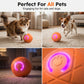🐾 INTELLIGENTER HAUSTIERBALL MIT AUTOMATISCH SPRINGENDER FUNKTION UND FERNBEDIENUNG — 3 interaktive Modi | Kauresistentes E-TPU | USB-C aufladbar 🎾