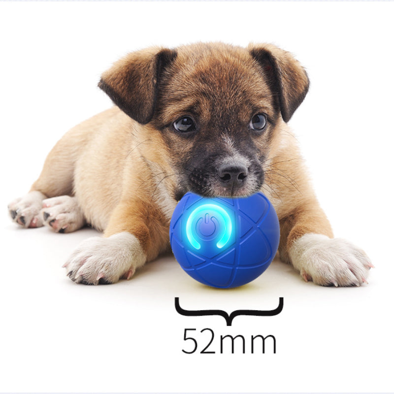 🐾 INTELLIGENTER HAUSTIERBALL MIT AUTOMATISCH SPRINGENDER FUNKTION UND FERNBEDIENUNG — 3 interaktive Modi | Kauresistentes E-TPU | USB-C aufladbar 🎾