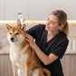 🐶 KAUFE 2, ERHALTE 1 GRATIS! 🐱 Sanfte Tierohrreiniger-Lösung – Sicher & schnell reinigend – Mit flexibler Silikonspitze – ideal für Hunde & Katzen – sanft & effektiv 🧴✨👂