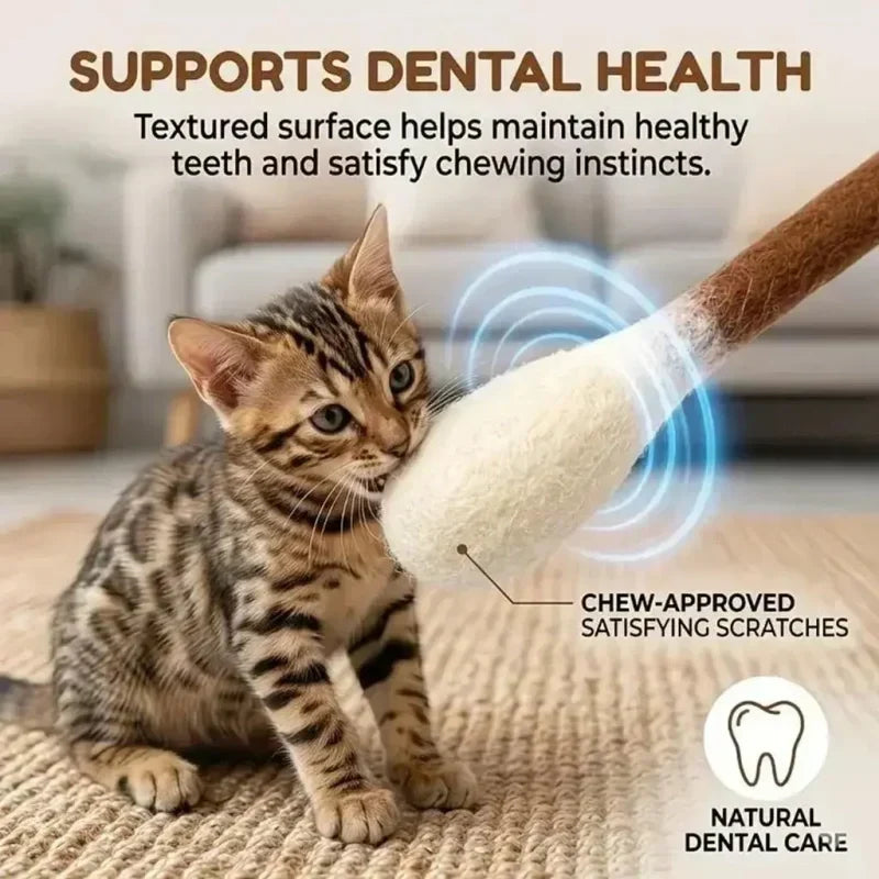 🔥 HEUTE 50 % RABATT! 🐱 Interactive Swab Cat Toy with Catnip