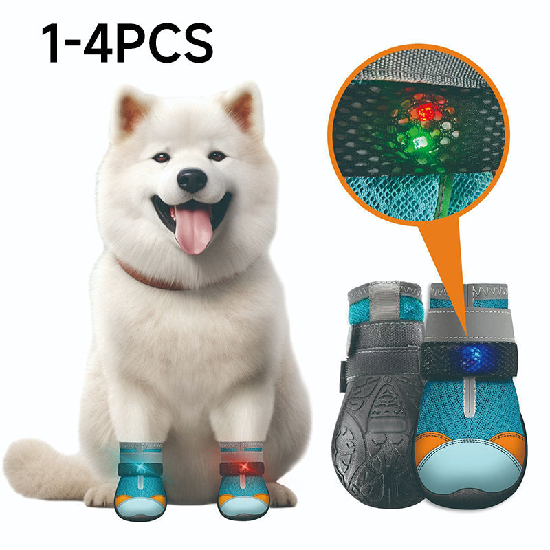 🔥 Heute -50 %! 🐶 Leuchtende Hundeschuhe mit Mesh-Gewebe