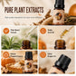 🎃✨ 50% RABATT! Halloween Duftendes Ätherisches Öl Set – 6 festliche Aromen einschließlich Kürbiskuchen & Hexen-Trank. Reine Pflanzenextrakte – schaffen Sie gruselige Partystimmung oder ein gemütliches saisonales Rückzugsgebiet! 🕯️👻