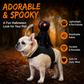 📸 Gruselspaß für deinen Vierbeiner! Das Sensenmann-Kostüm mit Umhang & Sense – perfekt für Halloween-Partys und unvergessliche Fotos