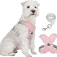 🥳HEISSER SALE 2026🥳💞50.000+ VERKAUFT!👵  X-förmiges Anti-Zug-Hundegeschirr-Set mit Leine