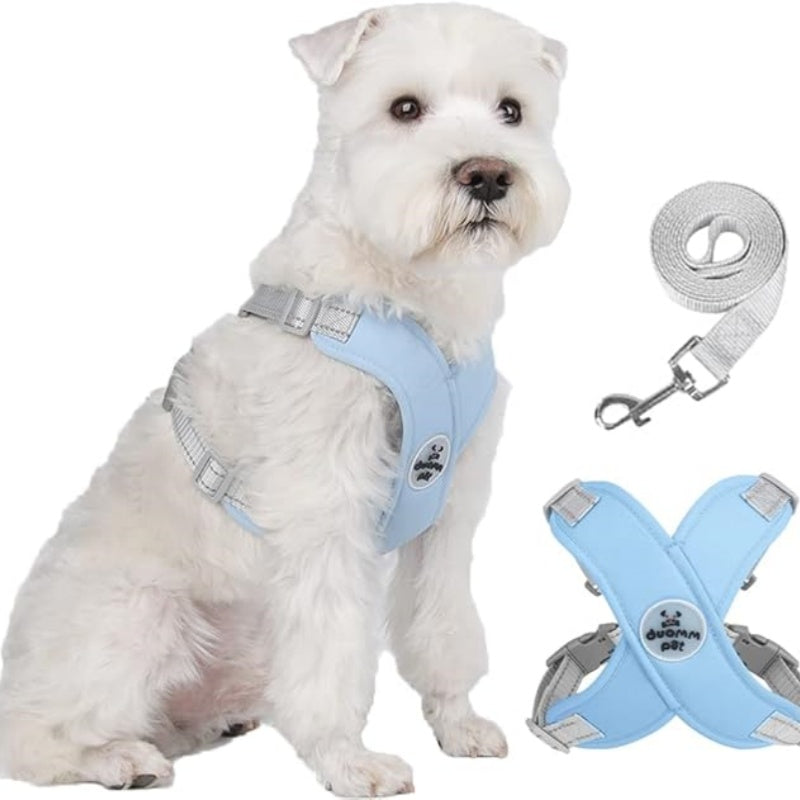 🥳HEISSER SALE 2026🥳💞50.000+ VERKAUFT!👵  X-förmiges Anti-Zug-Hundegeschirr-Set mit Leine
