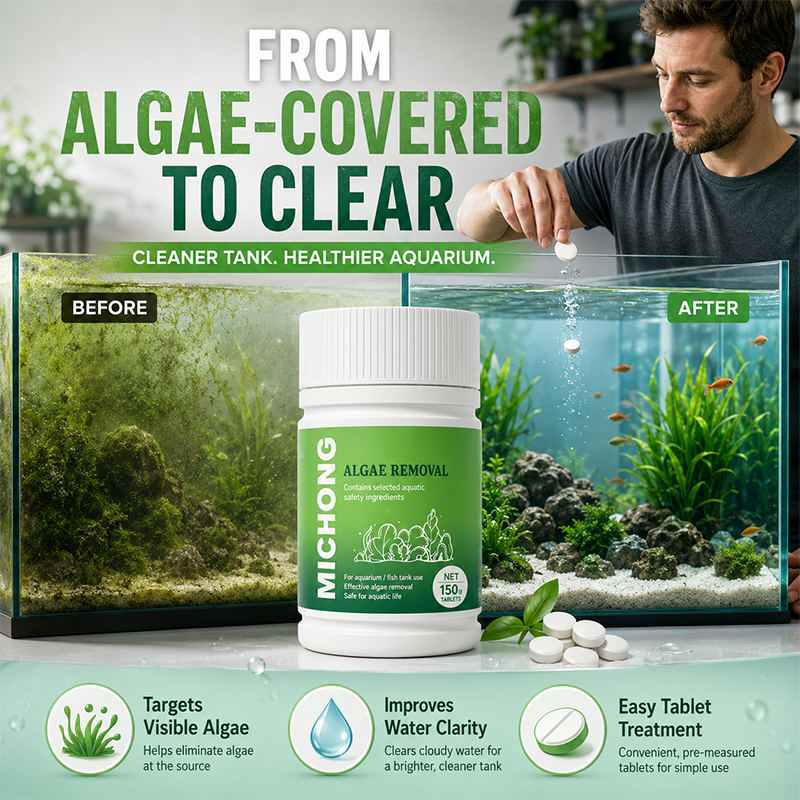 Schnell wirkende Tabletten zur Algenbekämpfung im Aquarium