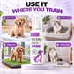 🥳Top-Angebot🥳💞Über 10.000-mal verkauft! Spray fürs Töpfchentraining! Hilft Haustieren – sicher & einfach anzuwenden. Für ein sauberes Zuhause – hol dir deins! ✅