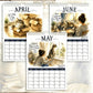 🐱🔥 50 % RABATT! 2027 A Cats Life Wandkalender – Monatliche niedliche Katzenfotos, großes Datumsraster, Feiertagsmarkierungen, dickes Papier, überall hängbare Wohn- und Bürodekoration ✨