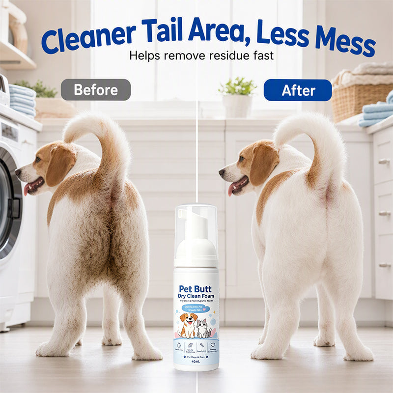 🧼 Po sauber ohne Wasser! – Trockenreinigungsschaum für Hunde & Katzen – einfach auftragen, abwischen, fertig – ohne Abspülen 🐾✨