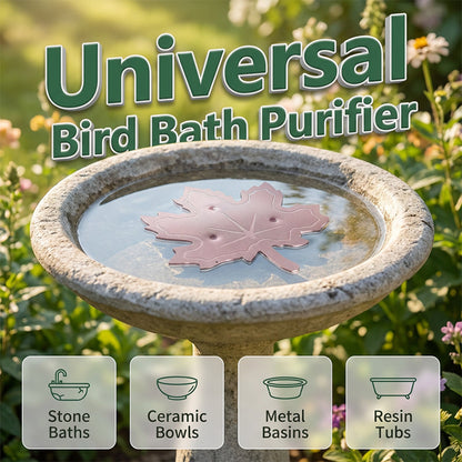 🐦 Jetzt im Angebot! Schmutzige Vogeltränke? – Universeller Vogelbad-Reiniger – gründlich reinigen, einfach anwenden & Vogelbad sowie Zubehör sauber halten ✨