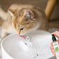 Katzenminze Flüssigspray - Sicher, rein und wirkungsvoll