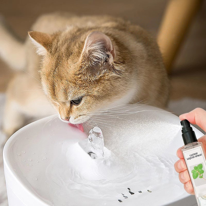 Katzenminze Flüssigspray - Sicher, rein und wirkungsvoll
